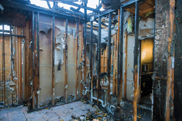 Professional Fire Damage Removal technician working in Wolfdale, PA
